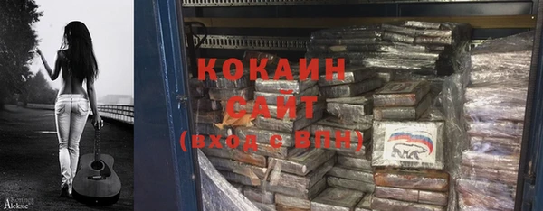 крисы Абаза